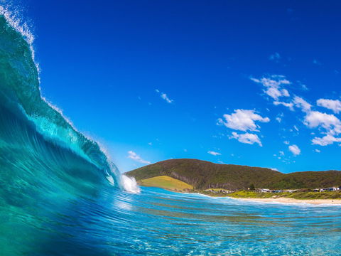 Blueys Beach, Pacific Palms - Accommodation 4U 0