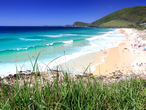 Blueys Beach, Pacific Palms - Accommodation 4U 1