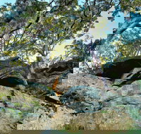 Burrawang Reach Picnic Area - Accommodation 4U