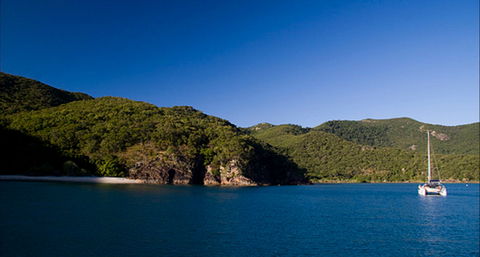 Butterfly Bay - Hook Island - Accommodation 4U 0