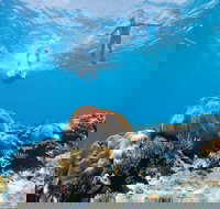 Capricorn Coast and Great Keppel Island Drive Itinerary - Accommodation 4U