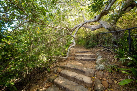 Capricorn Coast National Park - Accommodation 4U 2