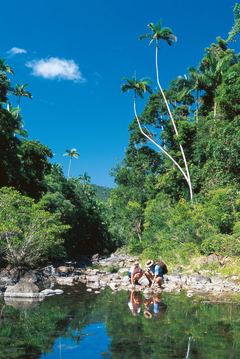 Cedar Creek Falls - Accommodation 4U 2