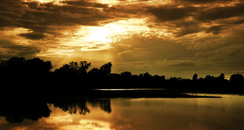 Chinchilla - Accommodation 4U 2