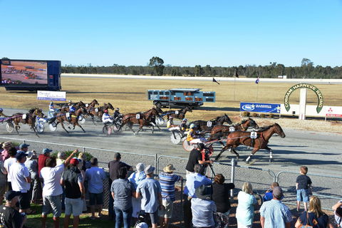 Cobram And District Harness Racing Club - Accommodation 4U 2