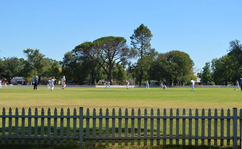 Cootamundra Cricketing Exploration - Accommodation 4U 0