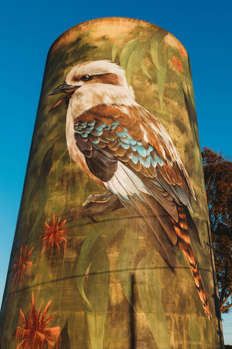 Deniliquin Water Tower Mural - Accommodation 4U 0