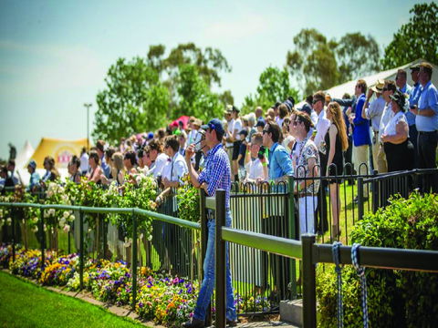 Dubbo Turf Club - Open With Races But No Spectators - Accommodation 4U 1