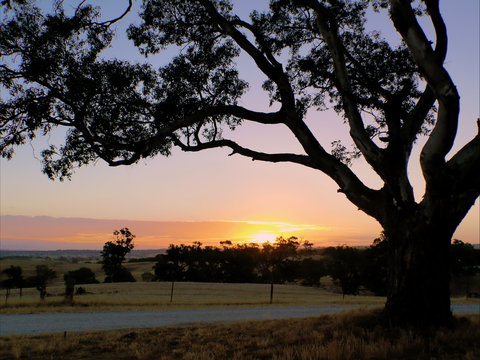 Eden Valley Lookout - Accommodation 4U 0