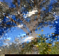 Euroa Arboretum - Accommodation 4U