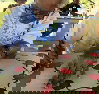 Euraba Paper Aboriginal Corporation