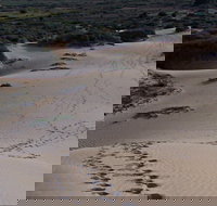 Foreshore Walk Mungo National Park - Accommodation 4U