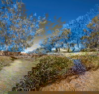 Freshwater Creek Track Byfield National Park - Accommodation 4U