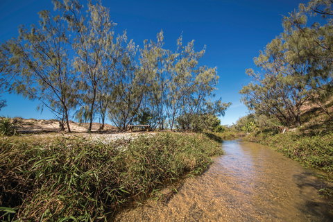 Freshwater Creek Track, Byfield National Park - Accommodation 4U 0