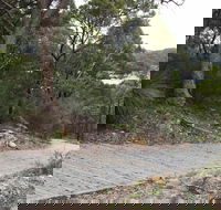 Great North Walk  Ku-ring-gai Chase National Park - Accommodation 4U
