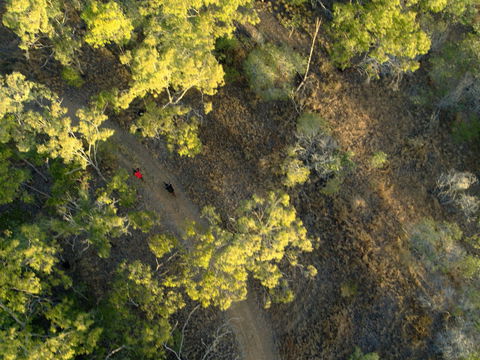 Hillview Drive Reserve - Accommodation 4U 2