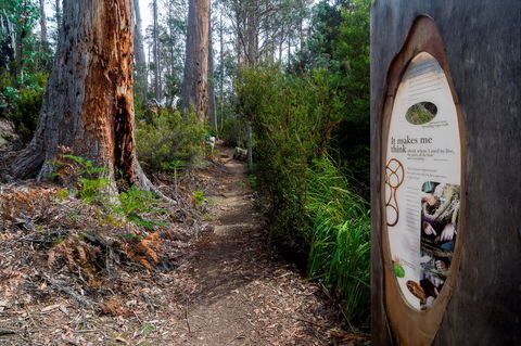 Lake St Clair (Cradle Mountain  - Lake St Clair National Park) - Accommodation 4U 2