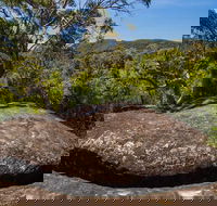 Marramarra Ridge to Smugglers Ridge walking track - Accommodation 4U