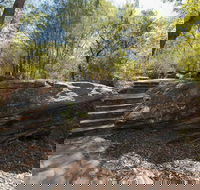 Mooney Mooney nature walk - Accommodation 4U