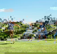 Moore Park Golf Course - Accommodation 4U