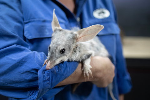 Natural Sciences Loop - Accommodation 4U 2