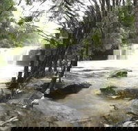 Nellies Glen Carrington Falls - Accommodation 4U