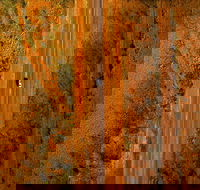 Newcastle Waters - Accommodation 4U