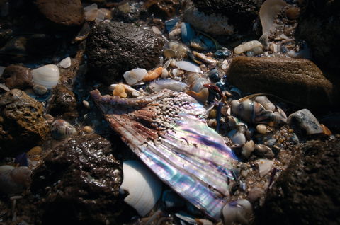 Point Cook Marine Sanctuary - Accommodation 4U 1