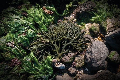 Point Cook Marine Sanctuary - Accommodation 4U 2