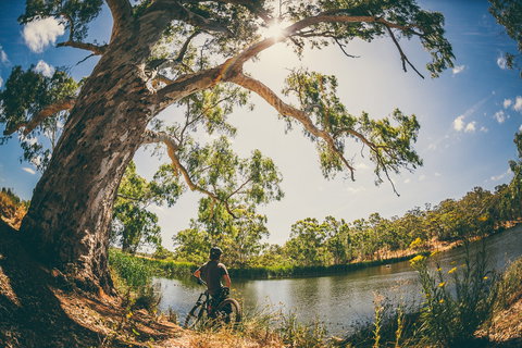 Sturt Gorge Recreation Park - Accommodation 4U 0