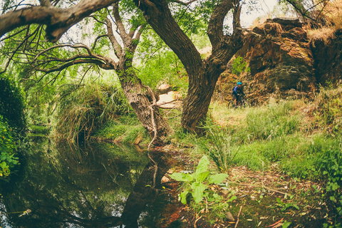 Sturt Gorge Recreation Park - Accommodation 4U 1