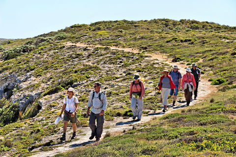 The Sole Walk At Hillocks Drive - Accommodation 4U 0