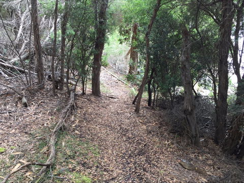 The Lady Barron Foreshore Walk - Accommodation 4U 1