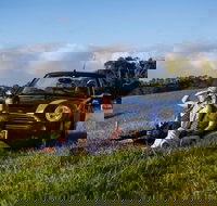 Tourist Drive 28 - Hinterland - Accommodation 4U