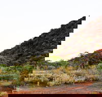 Whyalla Conservation Park - Accommodation 4U