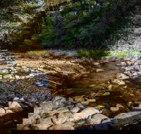 Wilson River picnic area - Accommodation 4U