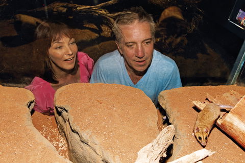 At The Creek Visitor Information Centre - Accommodation 4U 0