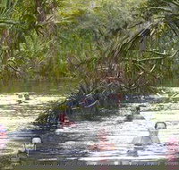 Berry Springs