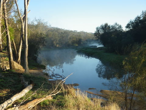 Bilya Walk Track - Accommodation 4U 0