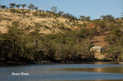 Bilya Walk Track - Accommodation 4U 2