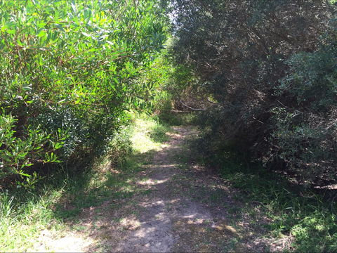 Bluff Track Fitness Trail - Accommodation 4U 2