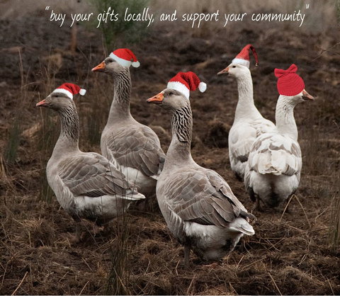 Bream Creek Farmers Market - Accommodation 4U 1