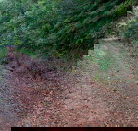 Cascade mountain bike trail - Accommodation 4U