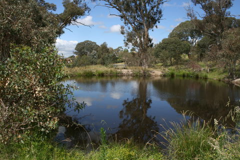 Cooleman Ridge - Accommodation 4U 0