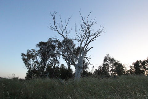 Cooleman Ridge - Accommodation 4U 1