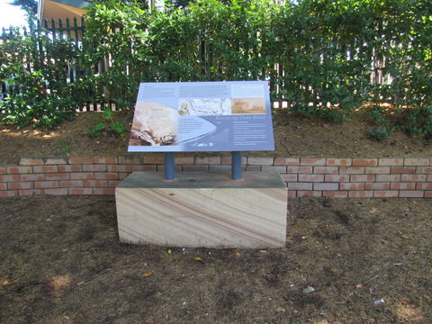 Coxs Road Interpretive Trail - Accommodation 4U 0