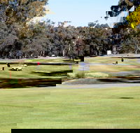 Deniliquin Golf Club - Accommodation 4U