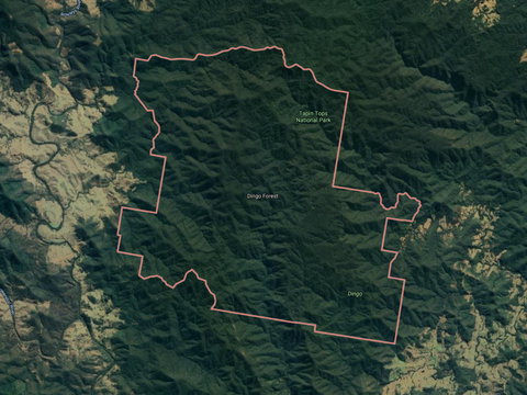 Dingo Forest - Accommodation 4U 0