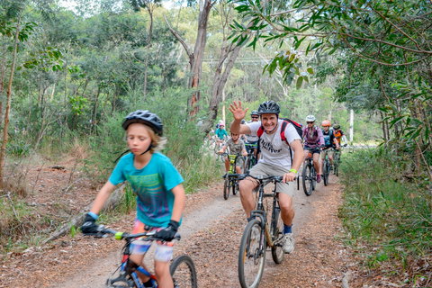 Dolphin Point - Accommodation 4U 1