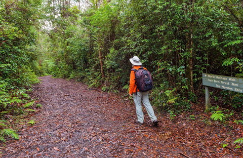 Gibraltar-Washpool World Heritage Walk - Accommodation 4U 0